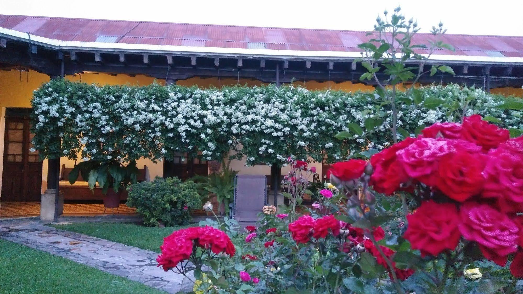 Aurora 4* Antigua