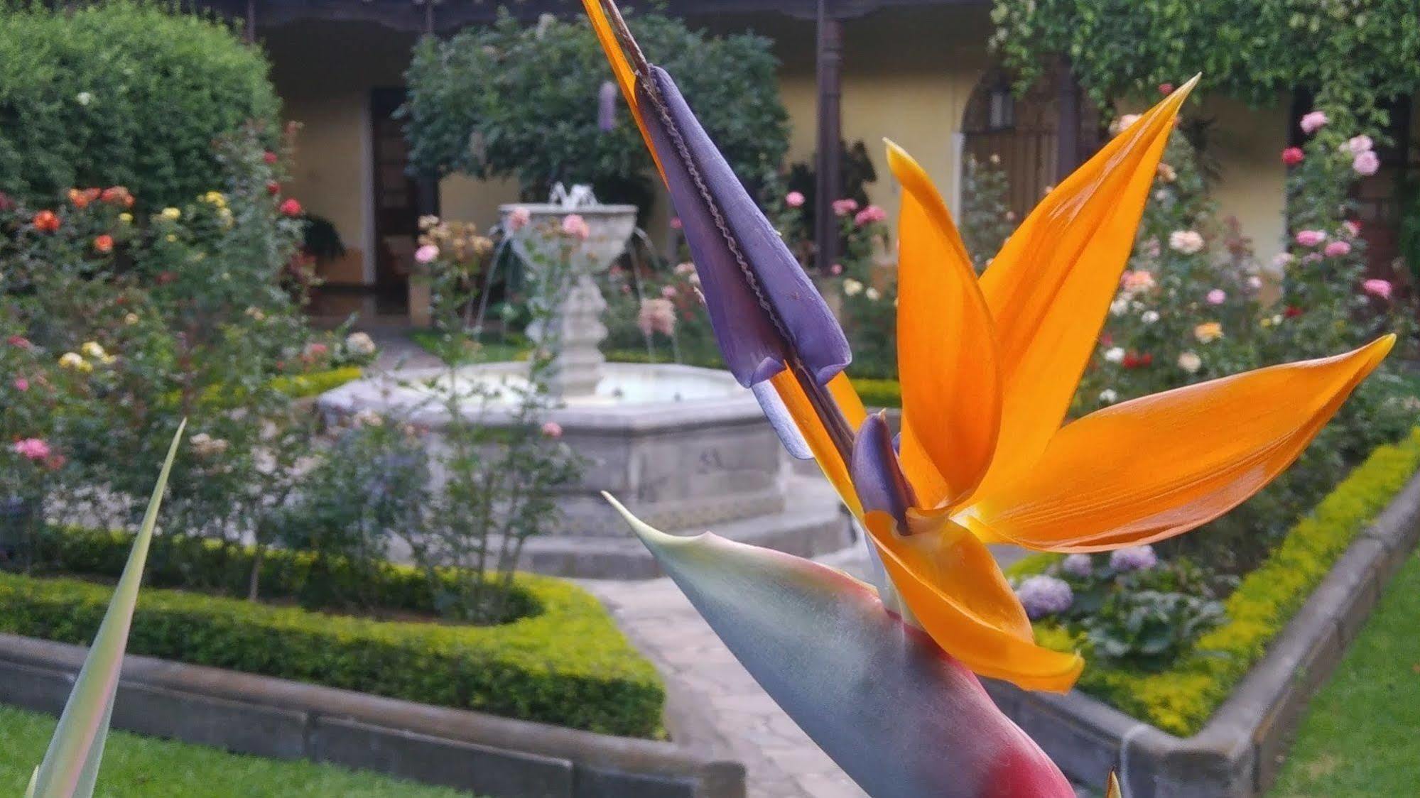Hotel Aurora Antigua